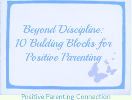 beyond discipline