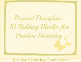 beyond discipline